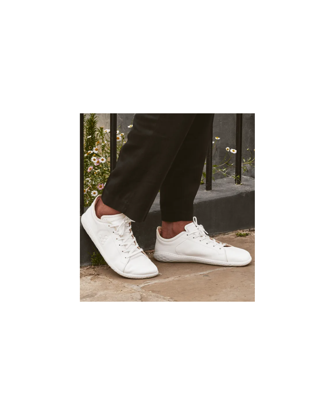 Men's Vivo Geo Court III