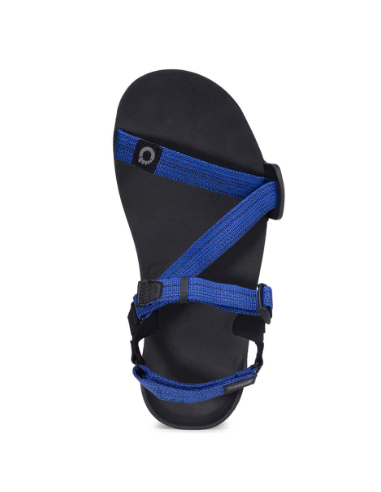 Men's Xero Shoes Z-Trail EV