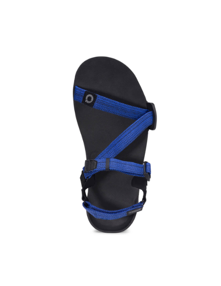 Men's Xero Shoes Z-Trail EV